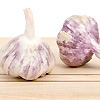 Garlic Italian Purple 